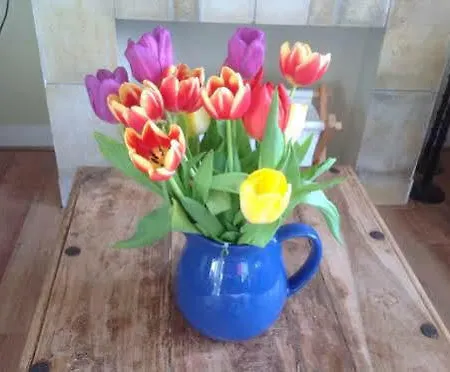 Familie Quellhorst * Leiden