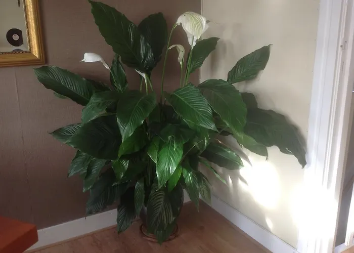 Appartamento Familie Quellhorst