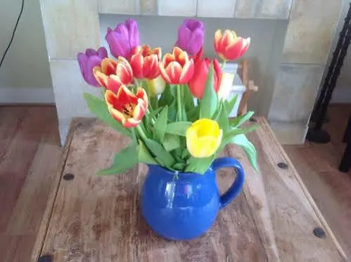 Familie Quellhorst * Leiden